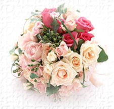 �C���[�W2